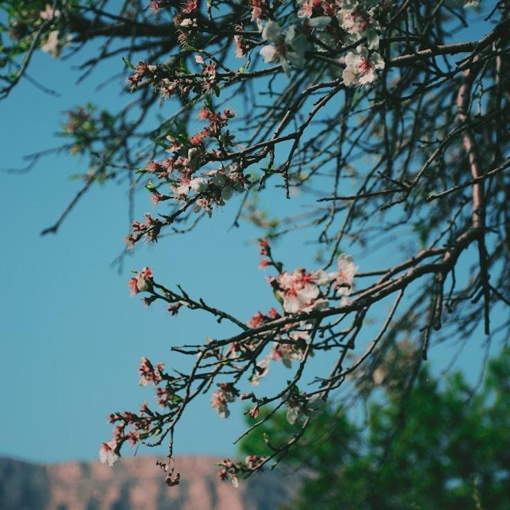 Nature travel hero image